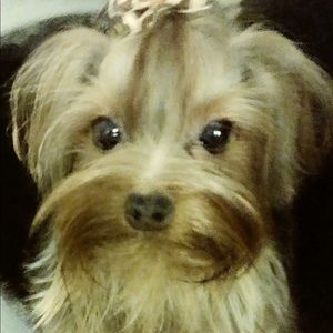 Meet your Posher, Carmen